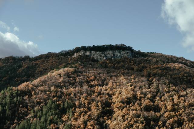 I boschi della collina di fronte